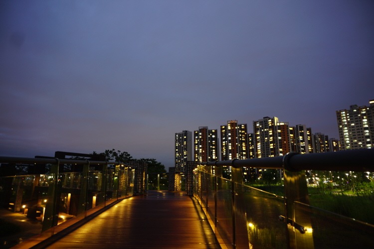 꾸미기1_DSC01872.jpg